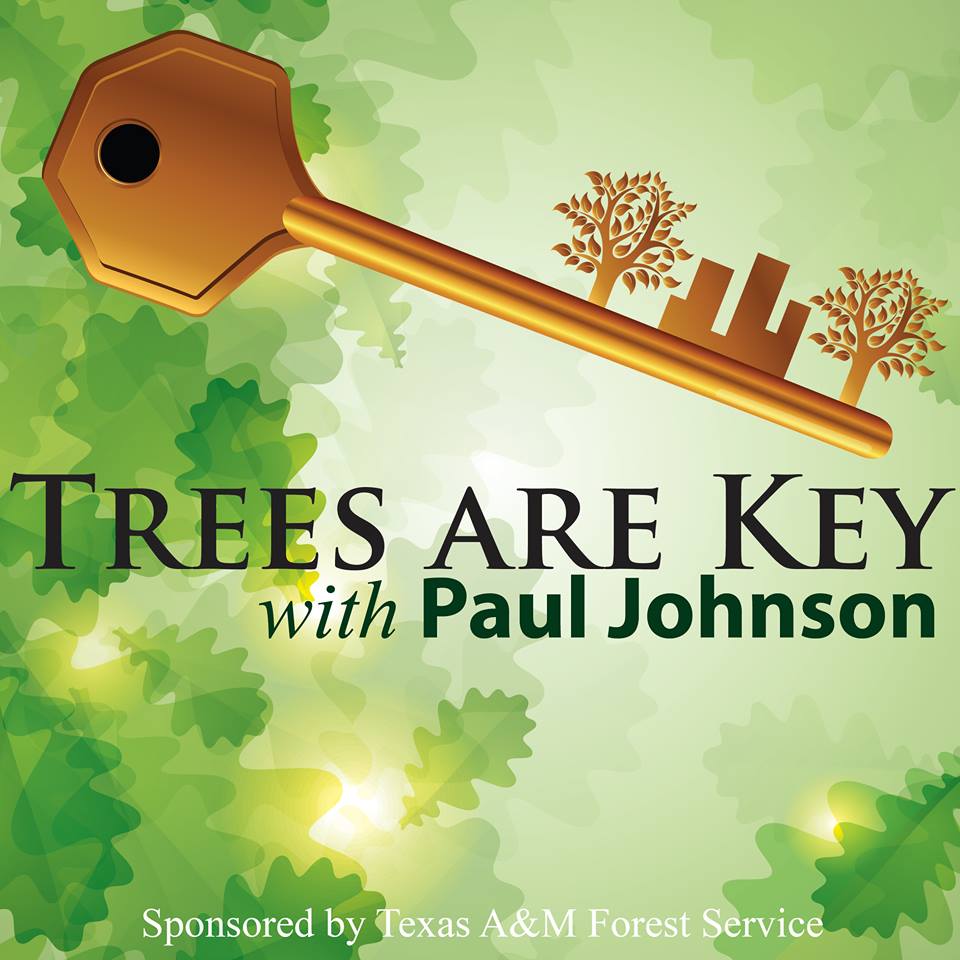Have a few minutes and want to learn more about trees? Listen to our #TAK podcasts with <a href="/treevangelist/">Paul Johnson</a> at bit.ly/1emmRB7.