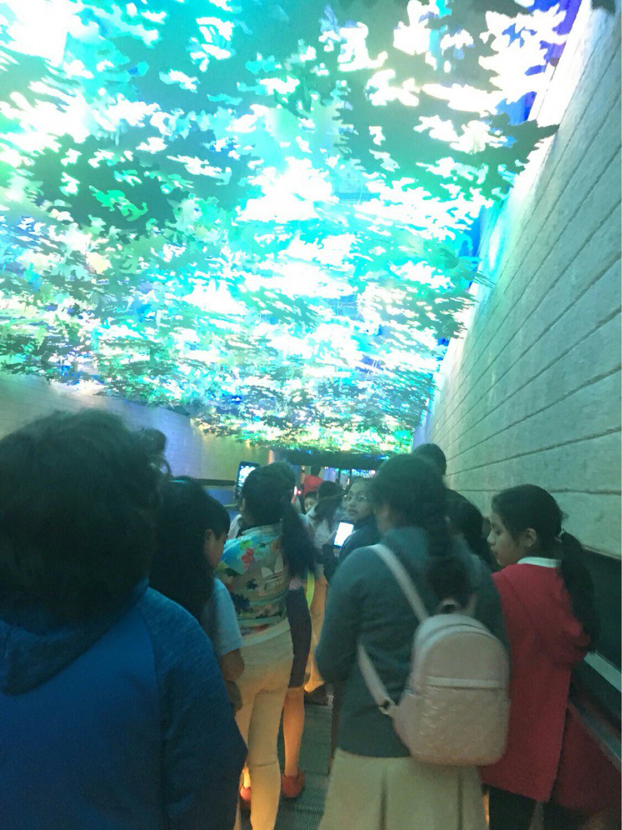 PrincipalDrH's tweet photo. Science Club got first hand experience at Hartsfield Jackson Airport today! Tarmac tour, plane train ride, rode moving side walk, witnessed how to keep wild life away from the engines!#hartsfieldjacksonairport #texttolifeconnection #goaloriented  @DeKalbSchools @RegionISupDCSD https://t.co/WuPyGVtGaq