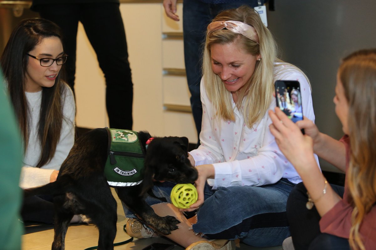 apptiocareers's tweet photo. Feel the love! The puppies from Summit Assistance Dogs brought cuddles to @Apptio and the JOY was infectious. #BeMineValentine #TeamApptio #SummitAssistanceDogs #dogsoftwitter https://t.co/J03EBJtEDv
