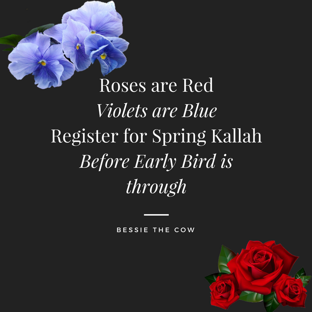 Happy Valentine OV ! Early bird decline has been extend so please register !