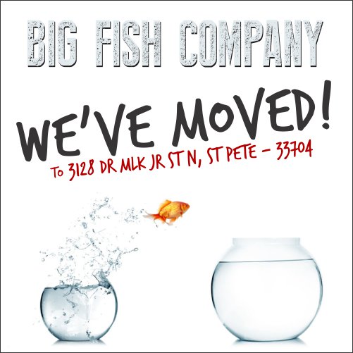 BigFishCo tweet picture