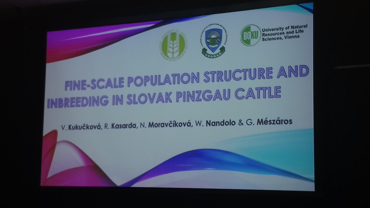 Great to see a presentation more close to my heart with some breed conservation of lineback cattle. Veronika Kukučková presents her work on the population structure of Slovak Pinzgauer cattle. <a href="/ICAR_WCGALP2018/">ICAR, Interbull & WCGALP 2018</a>