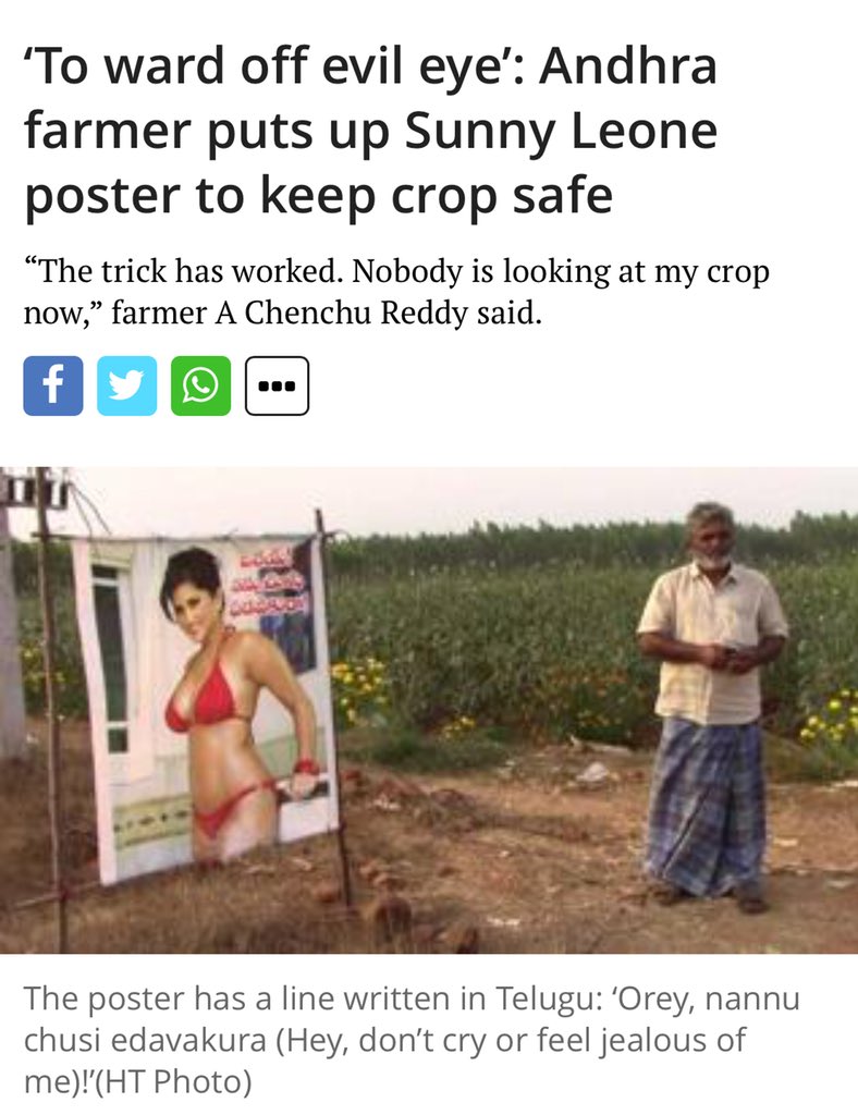 vj1901's tweet image. Well new version of the scarecrow #SunnyLeone #AdvocacyMarketing #constantdigitalchange
