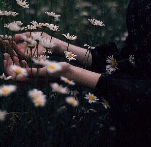 arasaucedo24's tweet photo. ~ ♪ Entra en mi vida sin anunciarte...
       Abre las puertas, cierra los ojos...
       Vamos a vernos poquito a poco.
       Dame tus manos, siente las mías... ♪

       Gracias E. 
          ... ❥...
https://t.co/0iociaMjbS https://t.co/7NW6BDQN7W