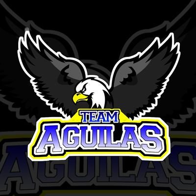 CopaArgentinaD1's tweet photo. Bienvenidos a la copa @TeamAguilasGG !! 15/32 https://t.co/FPdGIw9Hc2