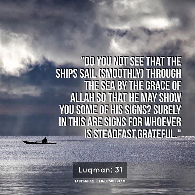 dawn2224's tweet photo. #Quran #Read #PonderUponVerse #Share_knowledge https://t.co/7KNv1zKJpM