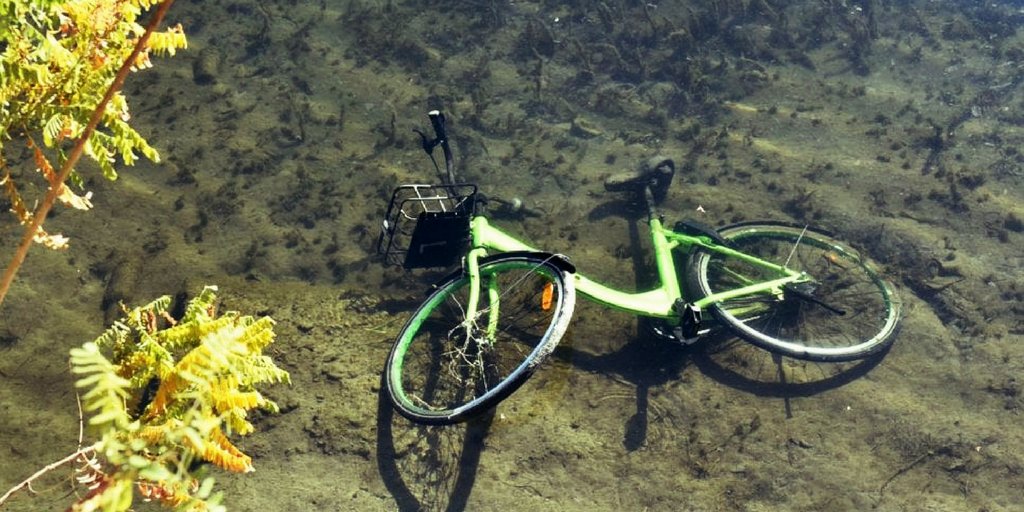 NicolaPorro's tweet photo. #GobeeBike, italiani brava gente? Il mio commento in radio sulla decisione del colosso cinese di bike sharing di abbandonare l'Italia per troppo vandalismo https://t.co/4IIs6sUILF #105Matrix https://t.co/jVOGBM0H8w