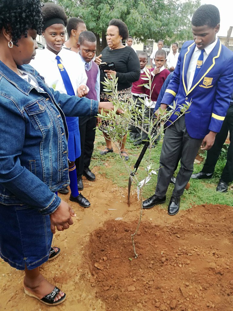 eduplantza's tweet photo. Cluster Workshop No. 4 was hosted at Tienbank Senior Primary School in Sterkspruit, Eastern Cape. EduPlant Facilitator, Heather taught plant propagation to all who attended. #EduPlant #FutureFarmers #GrowYourOwn #Competition2018 https://t.co/1S1ekxz8zx