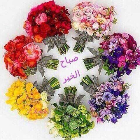 AbdlmulaA's tweet photo. https://t.co/jChhMRWtNE