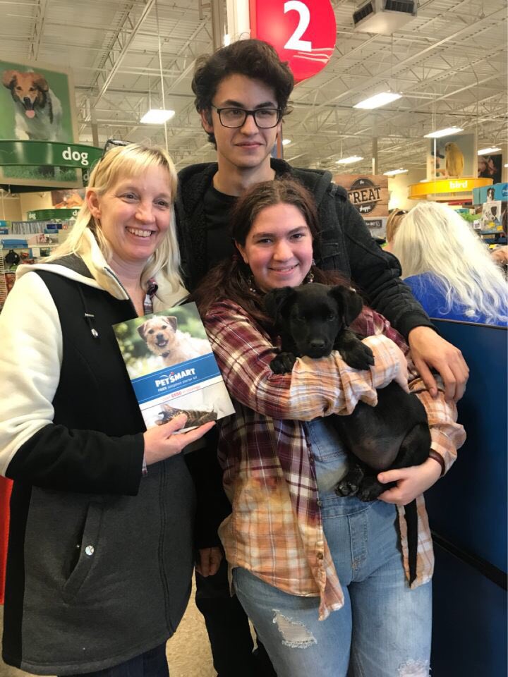 DonnaDslack's tweet image. #Sparklesgoinghome #relocationrescue @PetSmartChariTs @PetSmartAE @FreeFunInAustin @CraigZ_petm #nationaladoptionweek