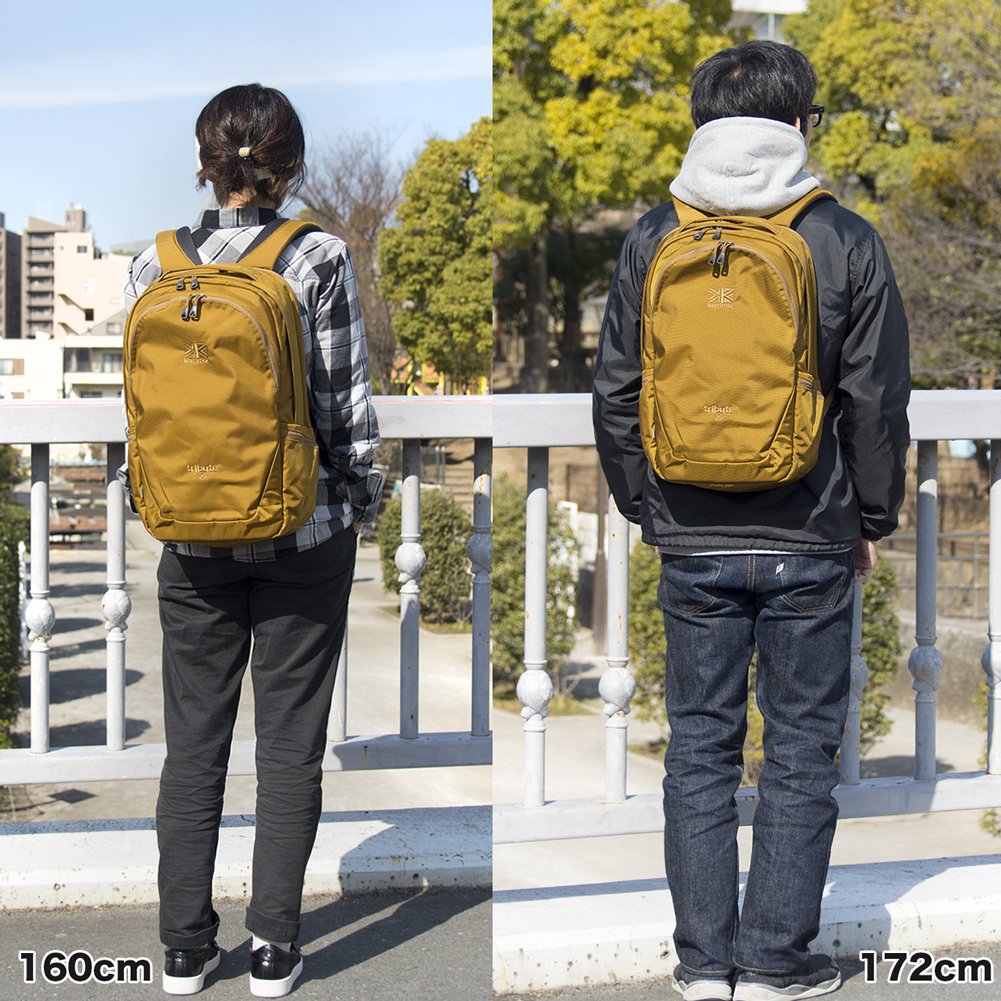 2m50cm Tokyolounge Twitterren T Co Zwah5ofllz Karrimor カリマー デイパック トリビュート 25l Tribute 25 軽登山 ライトトレッキングにもオススメサイズのザック 840デニールのジュニアバリスティックナイロンを使ったヘビーデューティー仕様