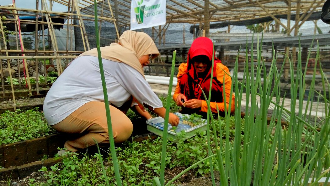 Organiponik's tweet photo. @bwangiberkebun stek daun mint. Untuk persiapan benih tanam serentak @idberkebun
#organiponikagrofarm #bwiberkebun #idberkebun #tanamserentakidb #watukebobwangiberkebun https://t.co/jdRlnArjB1