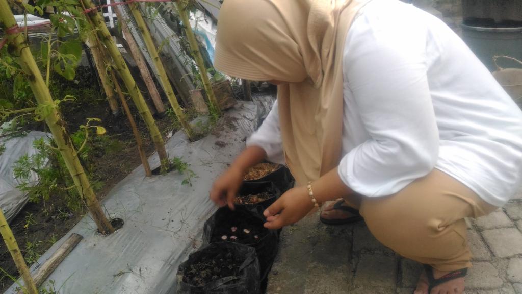 Organiponik's tweet photo. @bwangiberkebun. Bawang merah😍🌱 @IDberkebun 
#organiponikagrofarm #bwiberkebun #idberkebun #tanamserentakidb #watukebobwangiberkebun https://t.co/ONI4JsHJmO