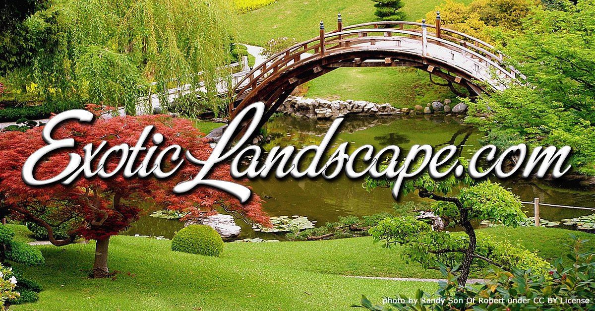 ExoticLandscape·com onsale @ flippa.com/5702452 #Landscaping #gardening #gardens #landscapes #landscapers #landscapedesign #seo #photos