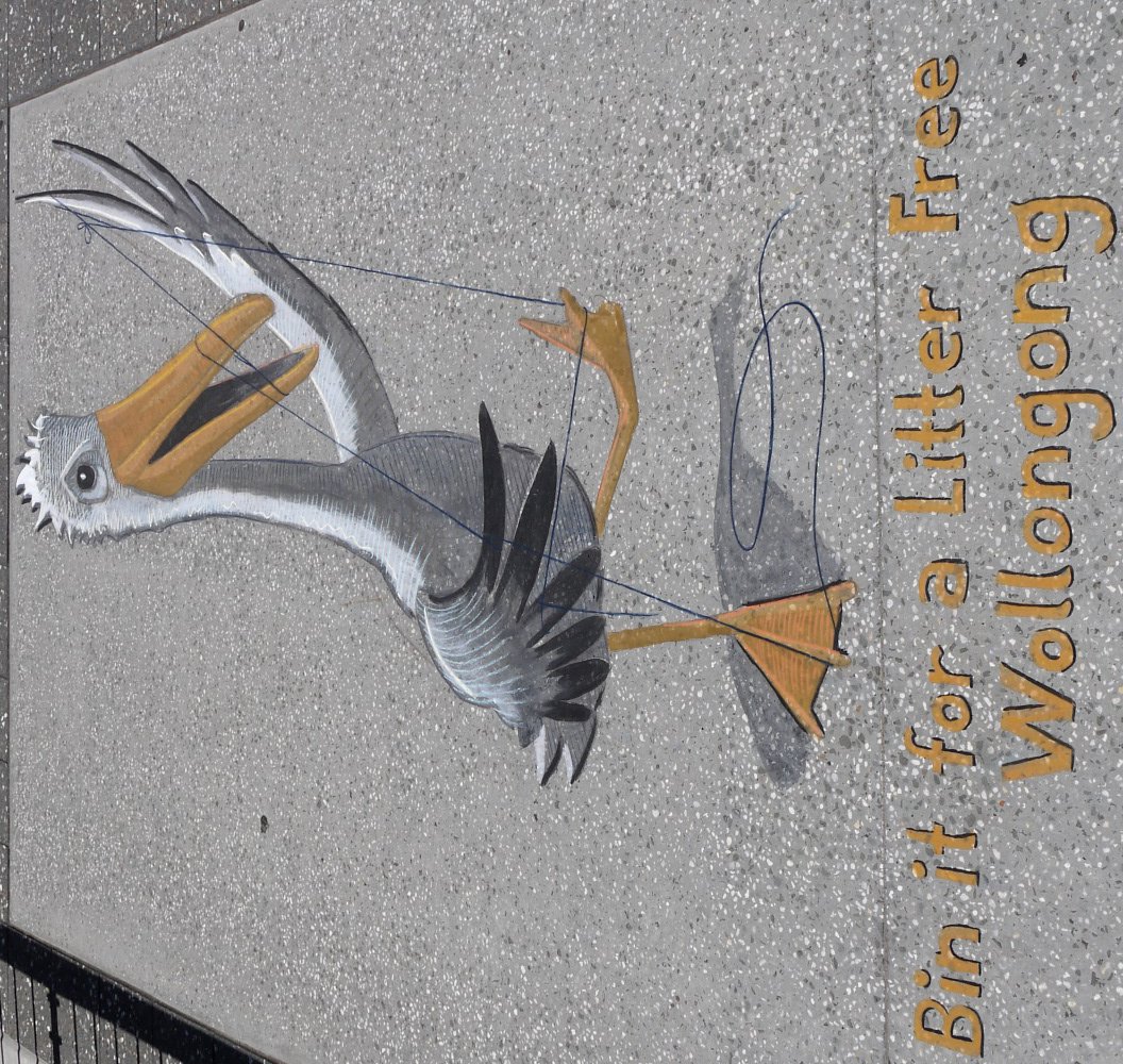 Wollongong_City's tweet photo. An angry octopus &amp; tangled pelican: 2 more works on the anti-litter trail on Wollongong's Flagstaff Hill. Check them out. #rudykistler
#zestei  @rudykistler @zesteventsinternational #heytosser https://t.co/80Utu4f1Wn