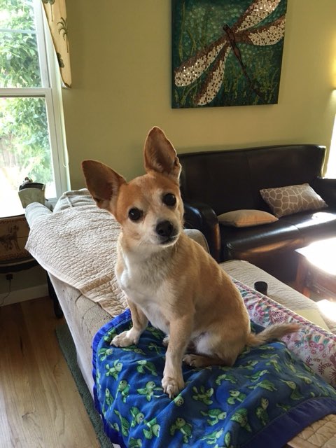 Ladystep's tweet image. Happy Valentine’s Day from Cabo.