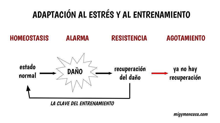mgencasa's tweet photo. Nueva entrada: 139. Duchas de agua fría (caso práctico) https://t.co/JxJwjRJ6E5 #ACONDICIONAMIENTOFÍSICO #PODCAST https://t.co/4sOziz8Qnn