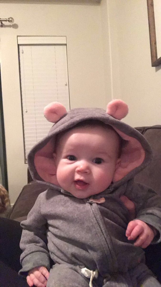 allipauli's tweet photo. 🐭 https://t.co/zwJnkSpY2S
