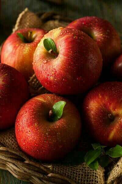 H_N_Z_90's tweet photo. 🌹🍂
في حديثك مع الناس اختر أطيب الكلام كما تختار أطيب الثمر ..💭💌 https://t.co/ED5t6w3X0Z