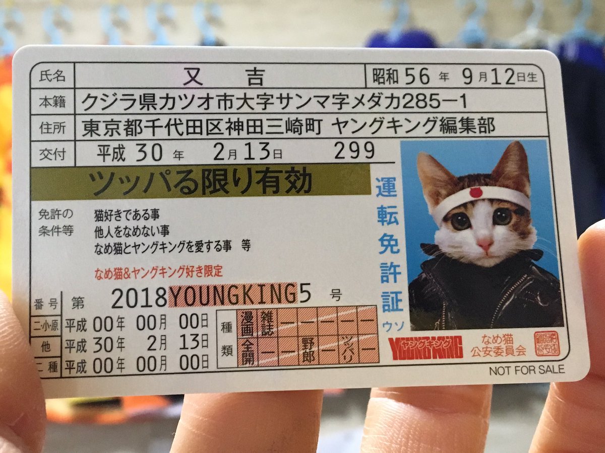 オリオンの歌 懐かしい なめ猫免許証 ヤングキング 雑誌の付録