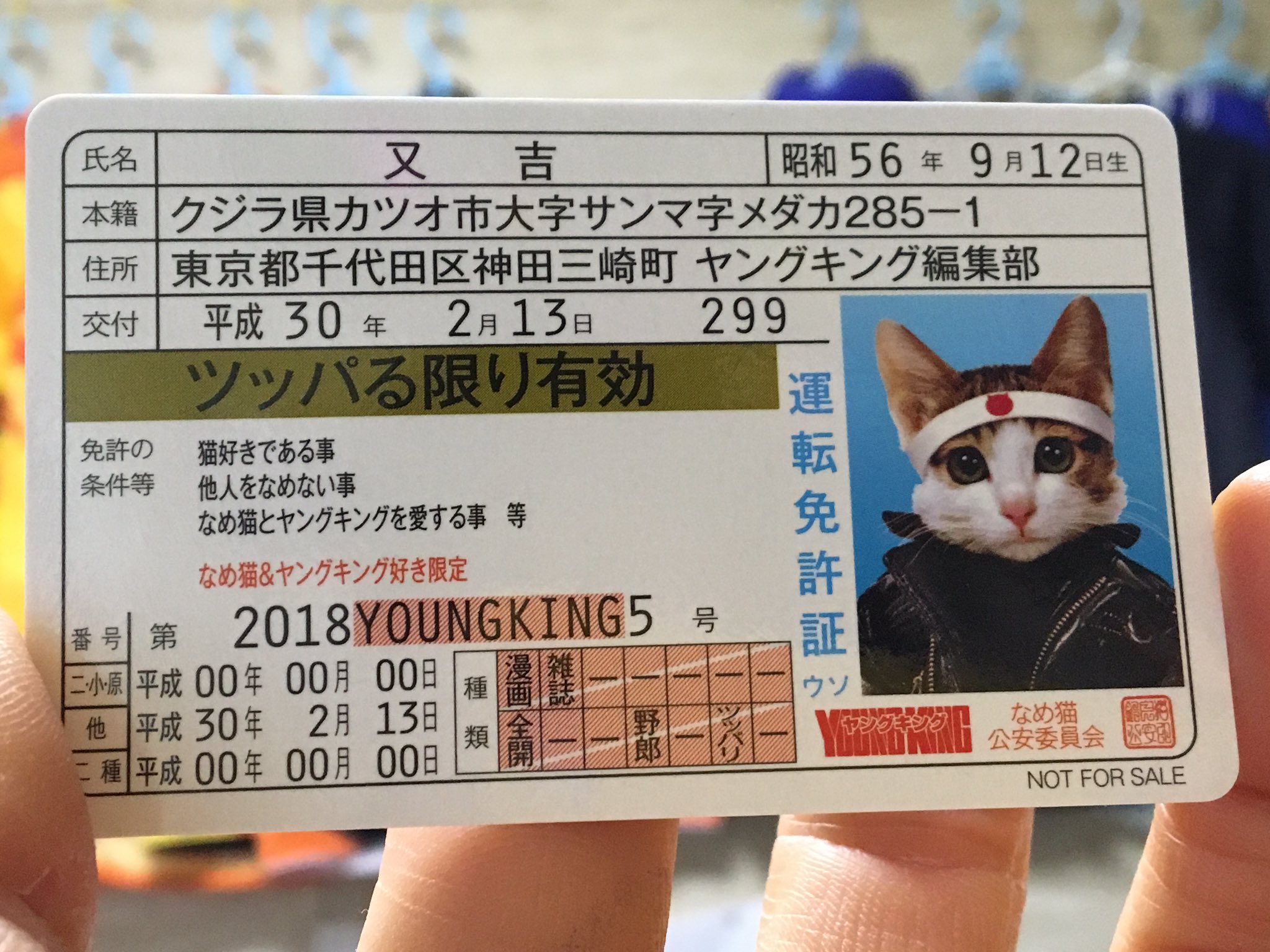 オリオンの歌 懐かしい なめ猫免許証 ヤングキング 雑誌の付録 T Co Vq8uxa6ssh Twitter