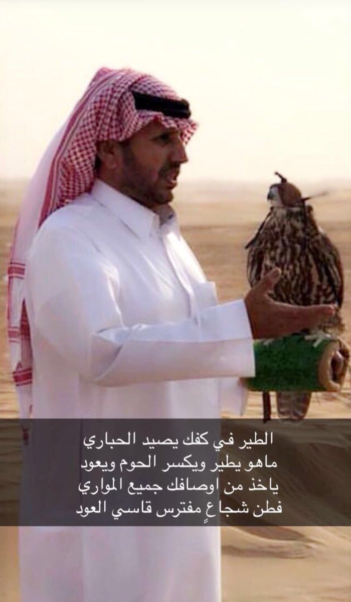 3ABUADOH's tweet photo. الطير في كفك يصيد الحباري
ماهو يطير ويكسر الحوم ويعود

يأخذ من أوصافك جميع المواري
فطن شجاعٍ مفترس قاسي العود https://t.co/Am8sFkmWSo