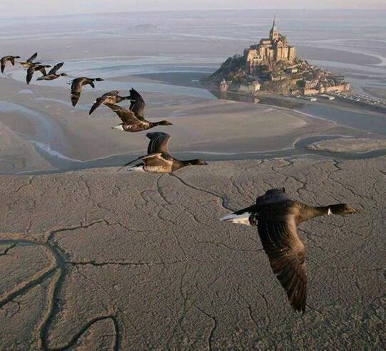 #colazione con Maupassant: Amo la terra senza renderla poetica, senza esaltarmi. L'amo di un amore profondo e bestiale.
#scritturebrevi