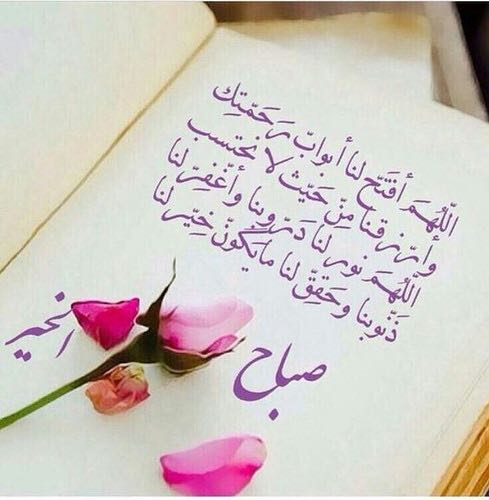 Muhammed196432's tweet photo. https://t.co/cXkOY5xWxu