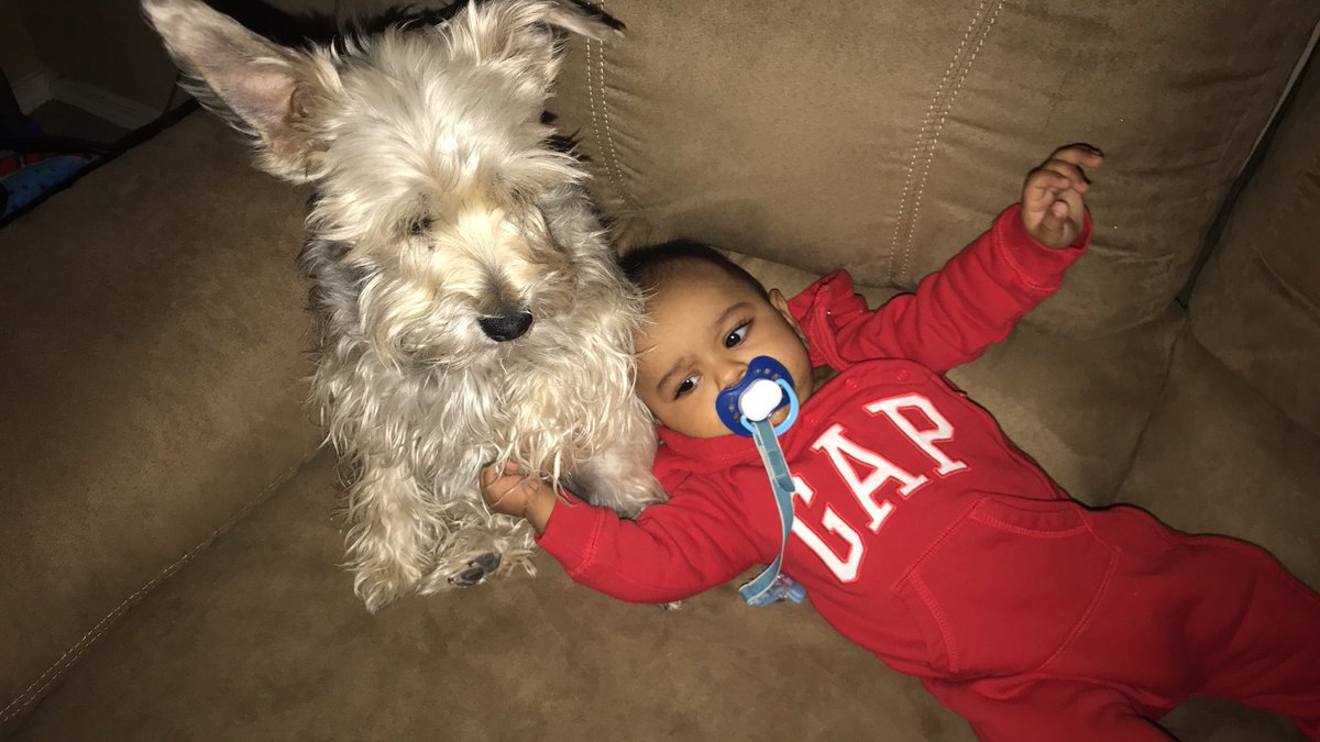 Celtics0_boymom's tweet photo. My sweet sweet Valentine! Luke’s 1st Valentine’s Day!! I love you more than the moon and the stars love the sky mi corazonesssss! ❤️💋😍😘#firstvalentinesday #lukeizaiah #mylove #theloveofmylife #xoxo #mycorazon #happyvalentinesday #chapulincolorado https://t.co/z3iCD8Na0o