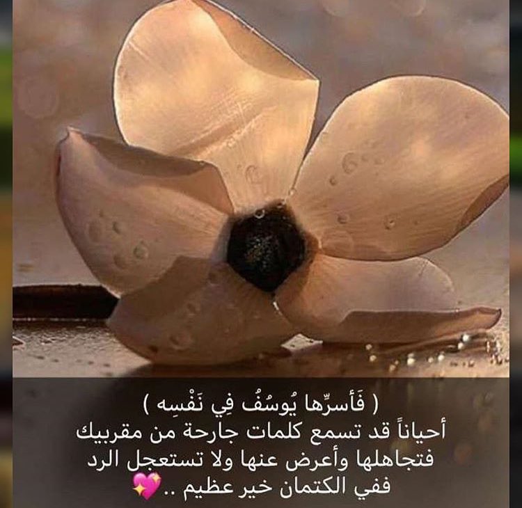 MeshaelHz's tweet photo. https://t.co/JtNykvPn3J