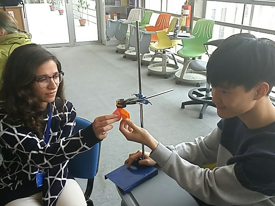 TBSbiology tweet media