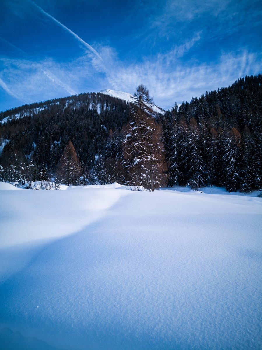 jfobranco's tweet photo. #inLOVEwithSwitzerland https://t.co/O17rr61m4E