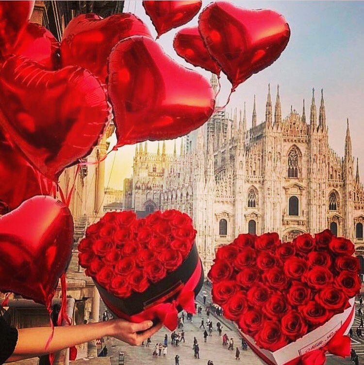 fioraionline's tweet photo. https://t.co/tjbqh3uezz Consegna rapida di fiori, piante e torte in tutto il mondo💝 https://t.co/NVu6Kow5r0