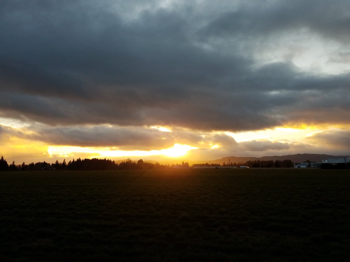 FinBenton tweet media