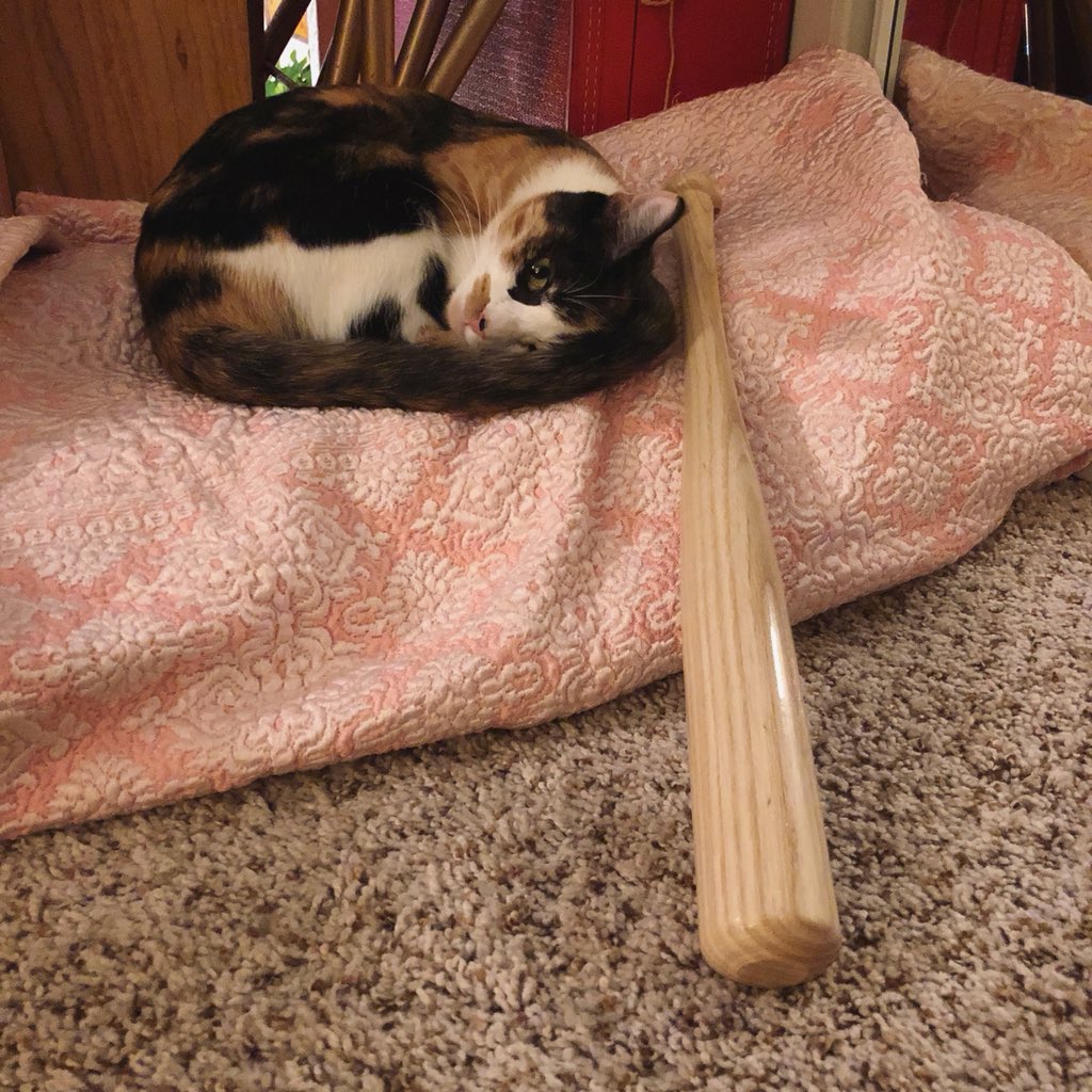 StevenRayMorris's tweet photo. Lil’ Slugger. @GHardstark @MyFavMurder https://t.co/3qc0K40X79