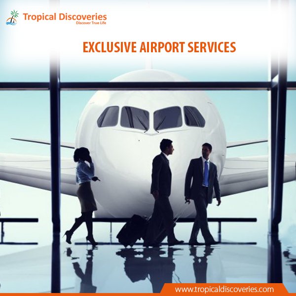 TropicalDisc tweet picture
