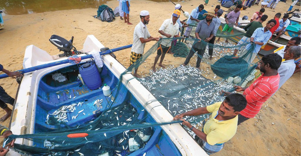 exploresl's tweet photo. Arugambay’s Busy Fishing Hamlet
https://t.co/qzFvMqLjMe
#Arugambay #Busy #Fish #FishingHamlet #Tranquil #Beach #Colourful #Fishing #Boats #Fishermen #Buyers #Auctions #Bargain #Explore #Travel #Experience #MustSee #SriLanka #ExploreSriLanka #ESL https://t.co/thsHqDTB31