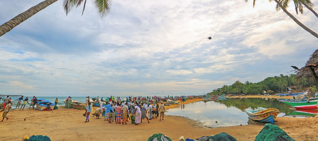 exploresl's tweet photo. Arugambay’s Busy Fishing Hamlet
https://t.co/qzFvMqLjMe
#Arugambay #Busy #Fish #FishingHamlet #Tranquil #Beach #Colourful #Fishing #Boats #Fishermen #Buyers #Auctions #Bargain #Explore #Travel #Experience #MustSee #SriLanka #ExploreSriLanka #ESL https://t.co/thsHqDTB31