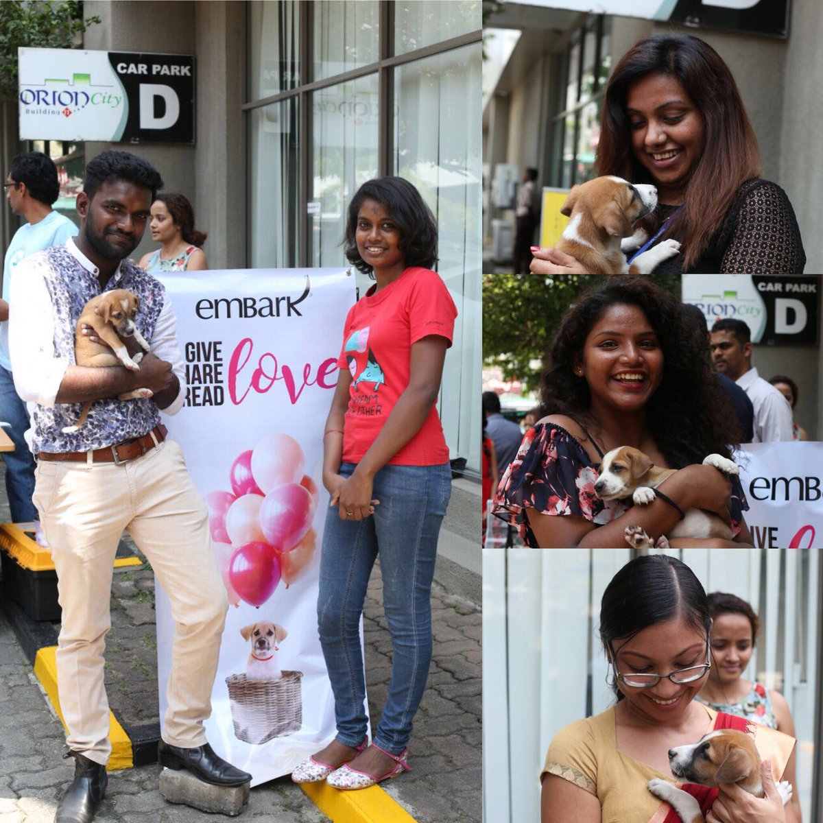 otaradel's tweet photo. Happy scenes from the #Embark puppy petting session at #OrionCity yesterday. Two little puppies also found their forever home😊 If you would like to take a break in your office and share some
love, please call #Embark on 076 355 7393
#KindnessIsHappiness #LoveAStreetPooch #Embark https://t.co/YtreGn2Y7a