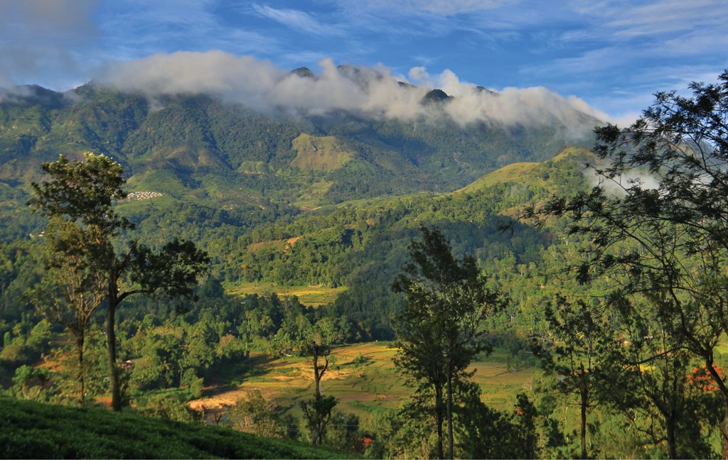 exploresl's tweet photo. Following The Mist To Madulsima
https://t.co/v04Pzh1lsE
#Madulsima #Mist #Mystical #Green #TeaEstates #Forests #UvaHills #Mountains #PaddyFields #Reservoirs #Experience #Explore #Travel #PlacesToVisit #Nature #SriLanka #ExploreSriLanka #ESL https://t.co/3cMPIpiVRz