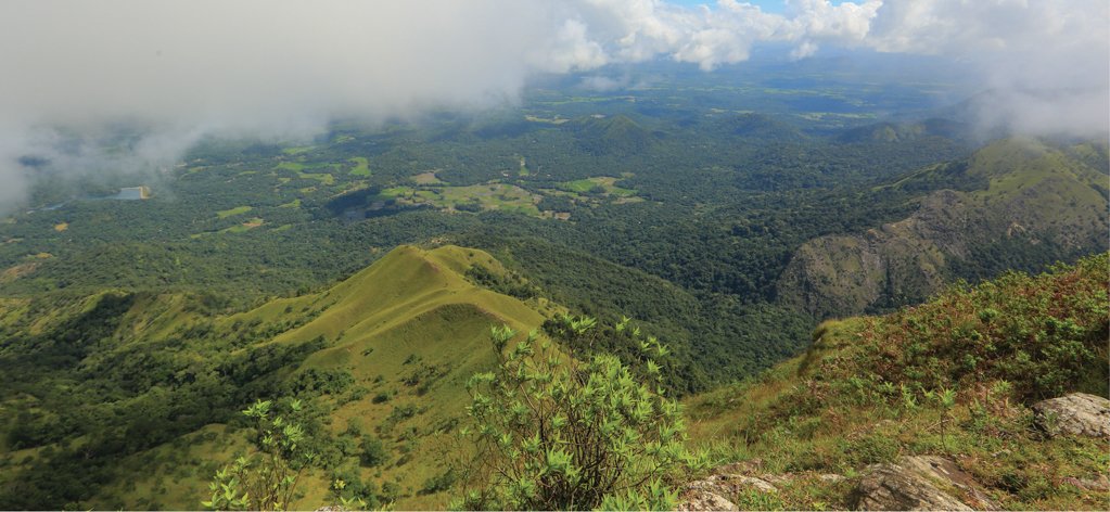 exploresl's tweet photo. Following The Mist To Madulsima
https://t.co/v04Pzh1lsE
#Madulsima #Mist #Mystical #Green #TeaEstates #Forests #UvaHills #Mountains #PaddyFields #Reservoirs #Experience #Explore #Travel #PlacesToVisit #Nature #SriLanka #ExploreSriLanka #ESL https://t.co/3cMPIpiVRz