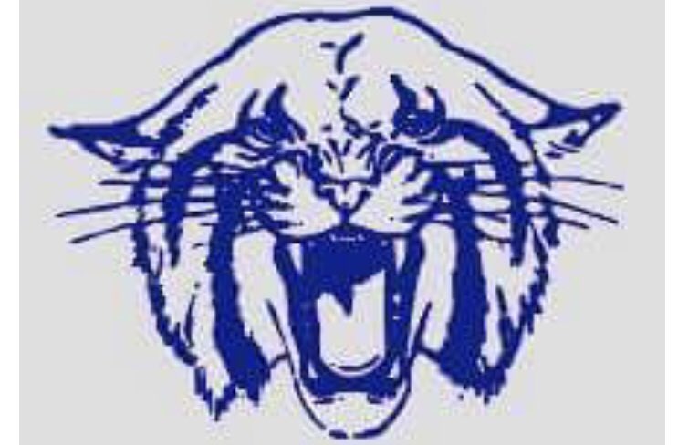 MapletonElemen1's tweet image. Wildcat/Blue and White School Spirit Day Friday, February 16th!!
facebook.com/permalink.php?…