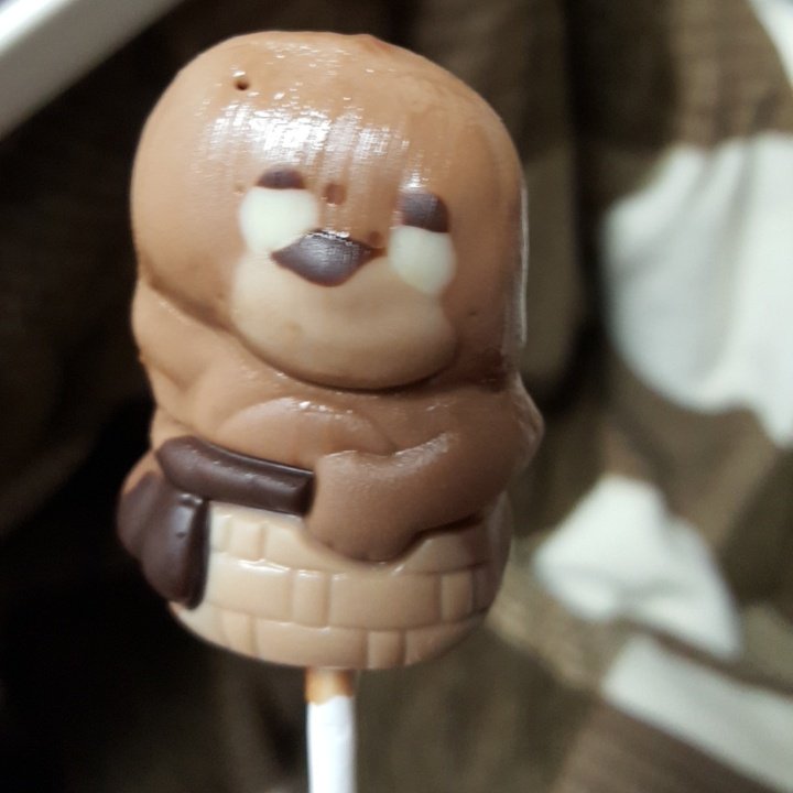 #新しいプロフィール画像