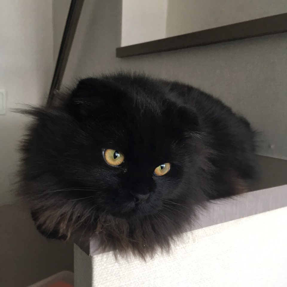 그리고 얘가 이창수