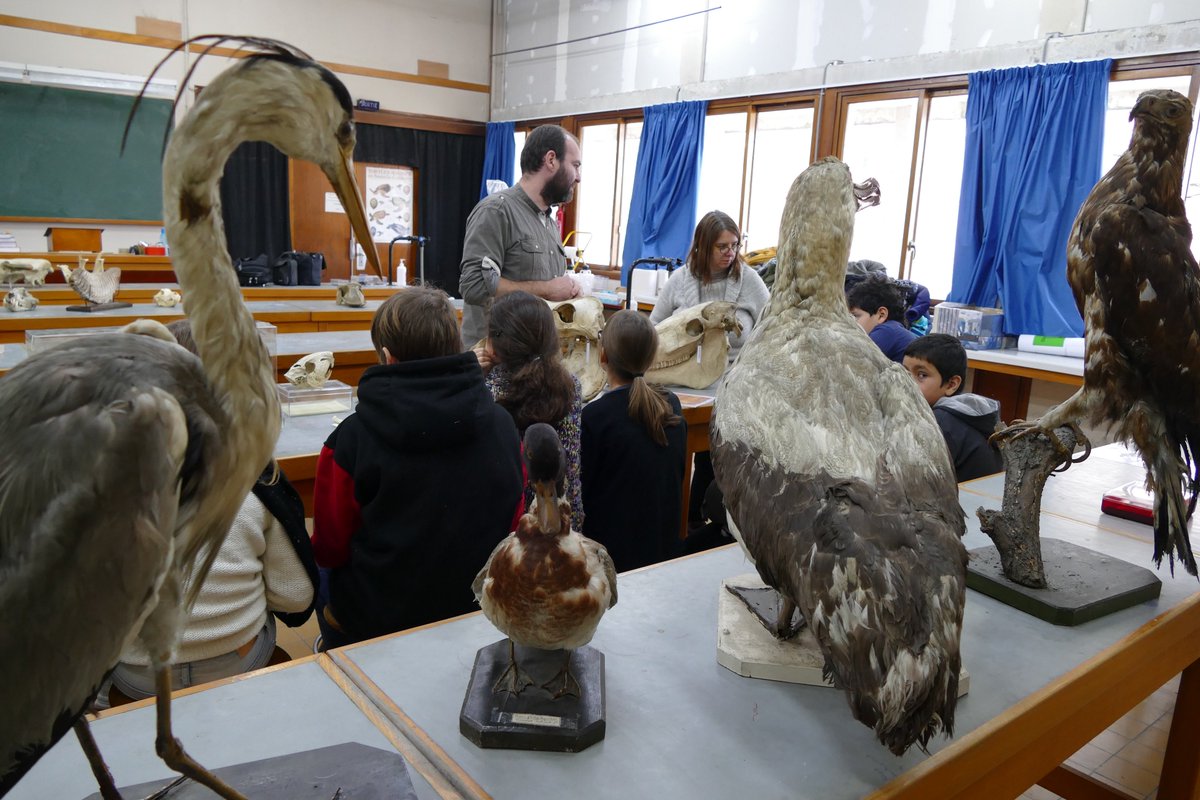 Sylvie BROT tweet media