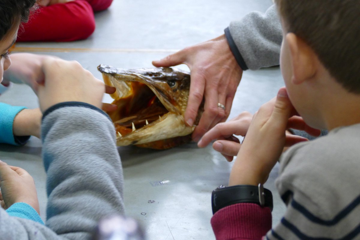 Sylvie BROT tweet media