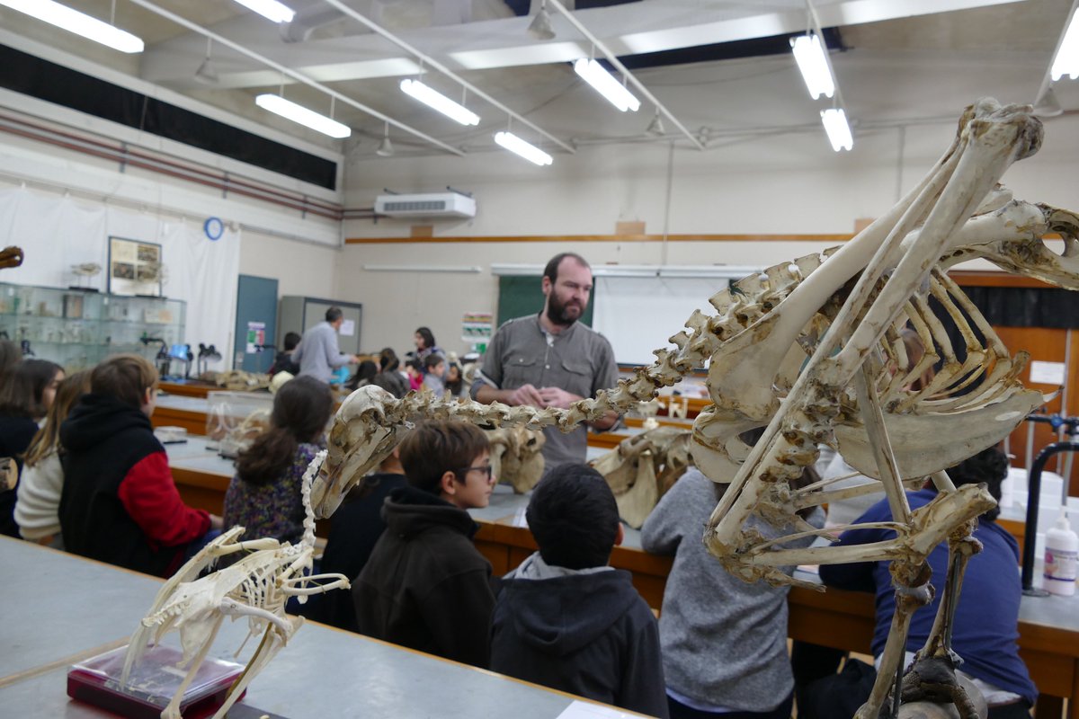 Projet Curiodiversité <a href="/MPLS_MP/">MPLS-MP</a> <a href="/EDB_Lab/">Évolution & Diversité Biologique</a>  #IRES : des élèves de l'école P Mendes-France de #Ramonville découvrent les collections <a href="/UT3PaulSabatier/">UT3 Paul Sabatier</a> <a href="/PatrimoineUT3PS/">Patrimoine UT3-PS</a>  <a href="/actoulouse/">Académie de Toulouse</a>  <a href="/ArmelleVialar/">Armelle VIALAR</a>