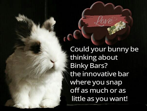 BinkyBars's tweet photo. #BinkyBars #rabbit #treat #innovative #snapandeat #healthy #tasty #bunnies #pets #petshop #farmshop https://t.co/VmGHTjr1wD