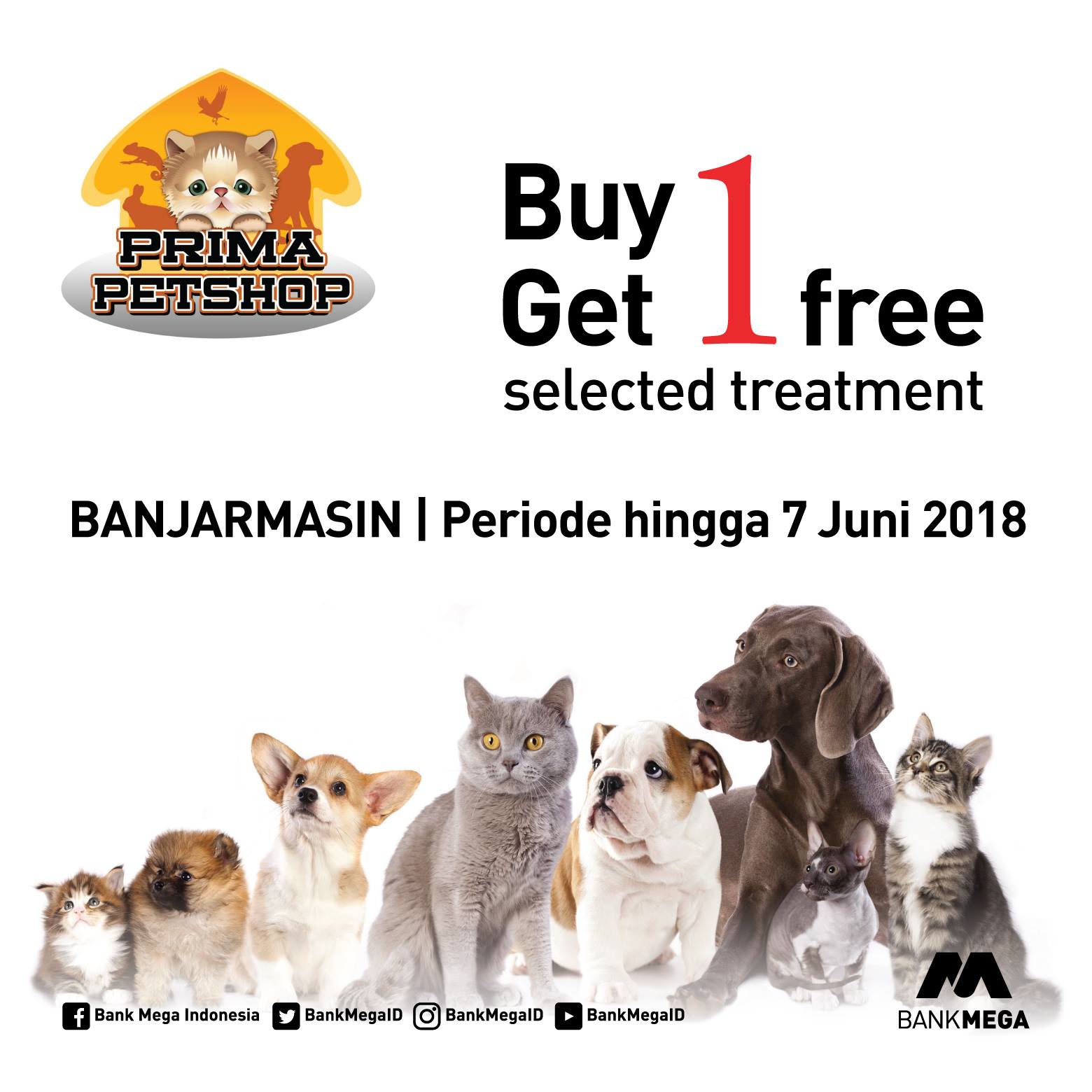 PT Bank Mega Tbk on Twitter "Punya hewan kesayangan yuk berikan kebutuhan nya di Prima Pet Banjarmasin untuk treatment yg baik dr Prima Pet & hemat