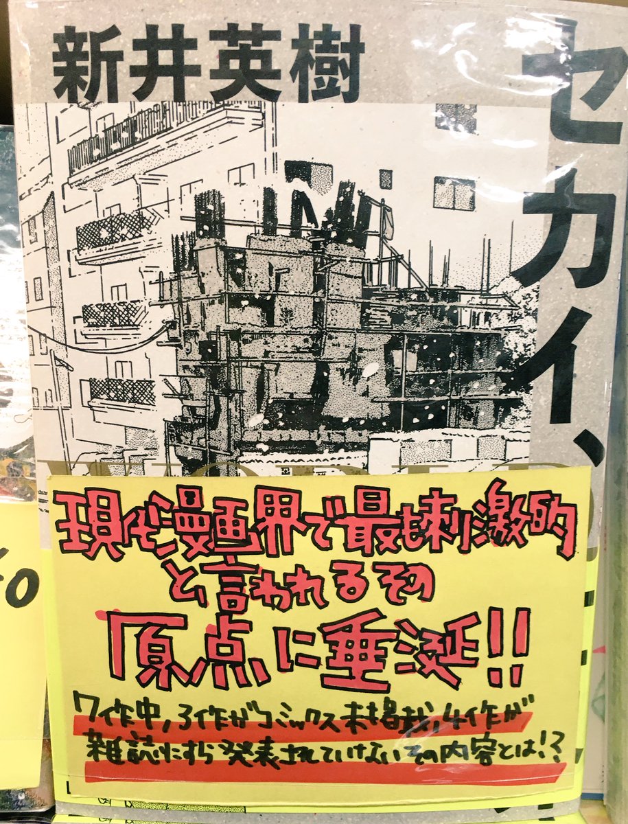 ヴィレッジヴァンガード下北沢 コミック 2タイトル同時発売に続き 新井英樹 先生のニュースが 愛しのアイリーン が映画化だそうです もう新井英樹先生のセカイが飛んで止まりません 愛しのアイリーン は上下巻 セカイ World 世界 は短編集